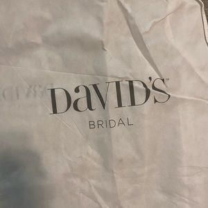David’s Bridal bridal gown bag